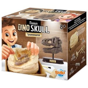 Kit de sapat - Craniu T-Rex