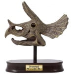 0021001_kit-de-sapat-craniu-triceratops