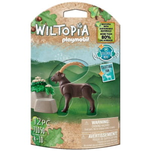 Capra ibex